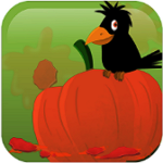 Pumpkin Splash
