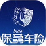 保骉车险