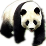 文件批量改名软件下载