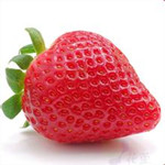 电子白板软件