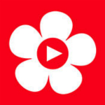 布米米影视