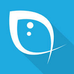 斗词app