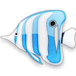 seashore mac