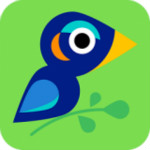 活动树app v4.0.1 安卓版