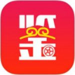 车鉴定