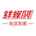 鲜蜂队安卓版