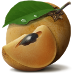 Chikoo mac版