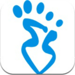 Estep DV安卓版