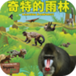 奇特的雨林app