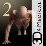 imuscle v2