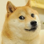 QQ刷钻刷Q币软件免费版