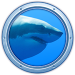 Sharks 3D