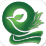 凤凰单丛茶