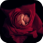 爱婴坊 v2.3 安卓版