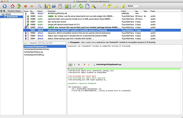  TortoiseHg