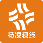 杨凌视线