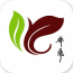 乔风茶店app