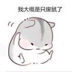 我大概是只废鼠了表情包