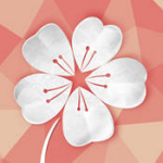 经期助手app