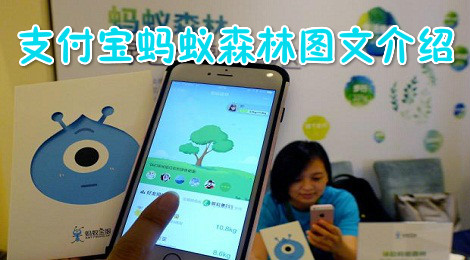 支付宝蚂蚁森林在哪里 支付宝蚂蚁森林介绍