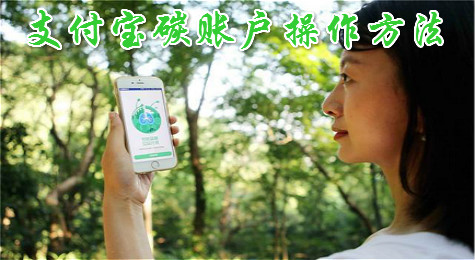 支付宝碳账户是什么 支付宝碳账户功能介绍
