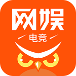 网娱大师