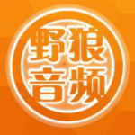 野狼KX3552驱动极速版