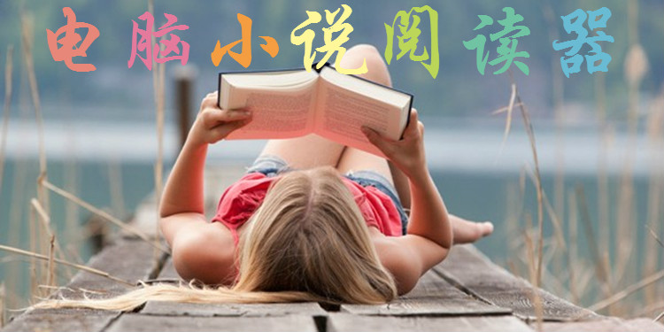 电脑小说阅读器合集