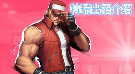炫斗之王特瑞出招介绍