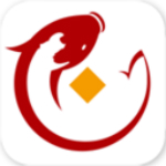 金锦鲤app