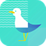 海鸥影社app