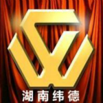 湖南纬德行情分析软件