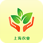 上海农业