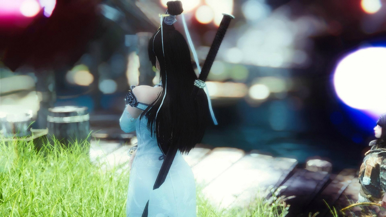 上古卷轴5天际真武道姑独立随从MOD下载 绿色版图3