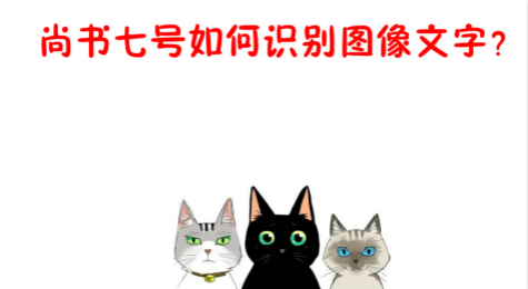 尚书七号如何识别图像文字