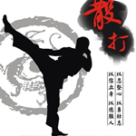 散打教学视频app