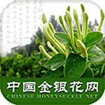 金银花网