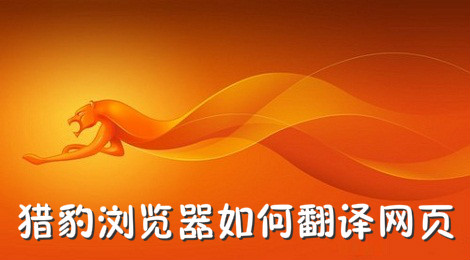 猎豹浏览器如何翻译网页