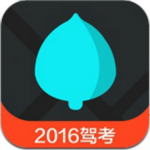 松果考驾照app