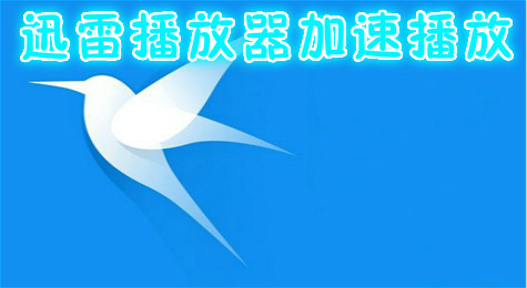 迅雷播放器看视频加速方法教程！