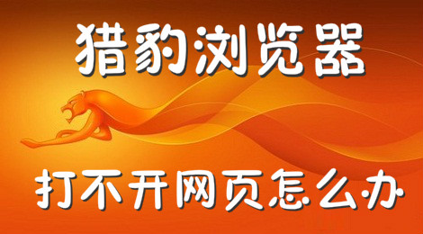 猎豹浏览器打不开网页怎么办