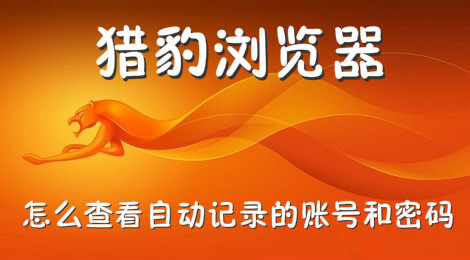 猎豹浏览器怎么查看账号和密码