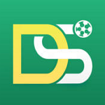 DS足球下载
