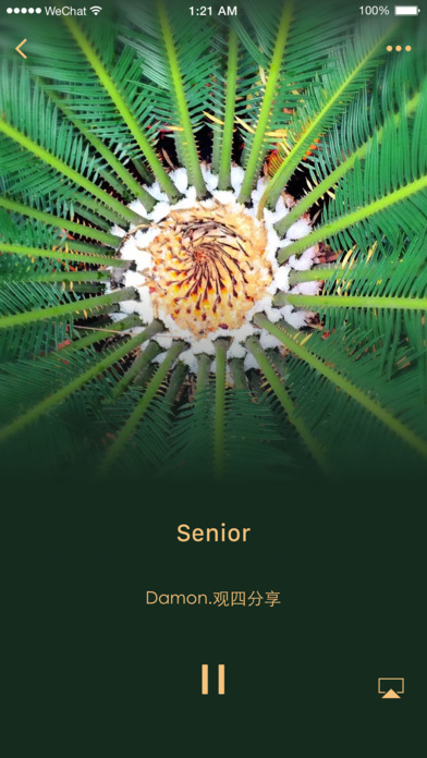 手机微信iPhone版 v6.6.7 官方正式版图5