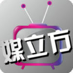媒问题
