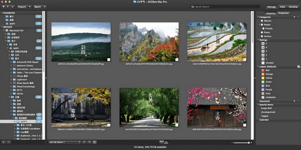 ACDSee Pro for mac V4.0b 破解版图1