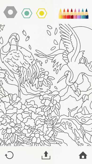 秘密花园涂色本 V5.2 iOS版图3