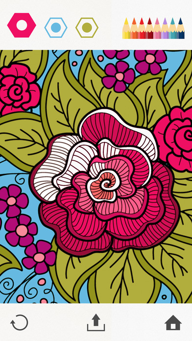 秘密花园涂色本 V5.2 iOS版图5