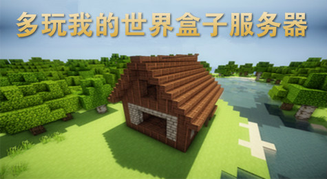 多玩我的世界盒子手机怎么进入服务器