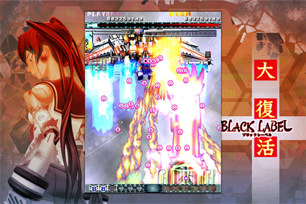 怒首领蜂大复活下载 PC版图4